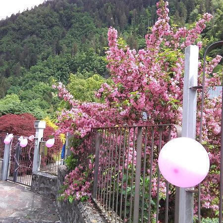 Casa Per Ferie Paola Di Rosa Ξενοδοχείο Arta Terme Εξωτερικό φωτογραφία