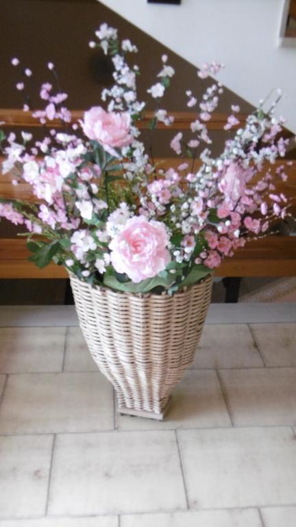 Casa Per Ferie Paola Di Rosa Ξενοδοχείο Arta Terme Εξωτερικό φωτογραφία
